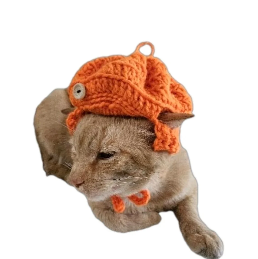 Handmade Halloween Crochet Pumpkin Hat for Cats or Small Dogs – Fall Pet Costume - Picture 10 of 16